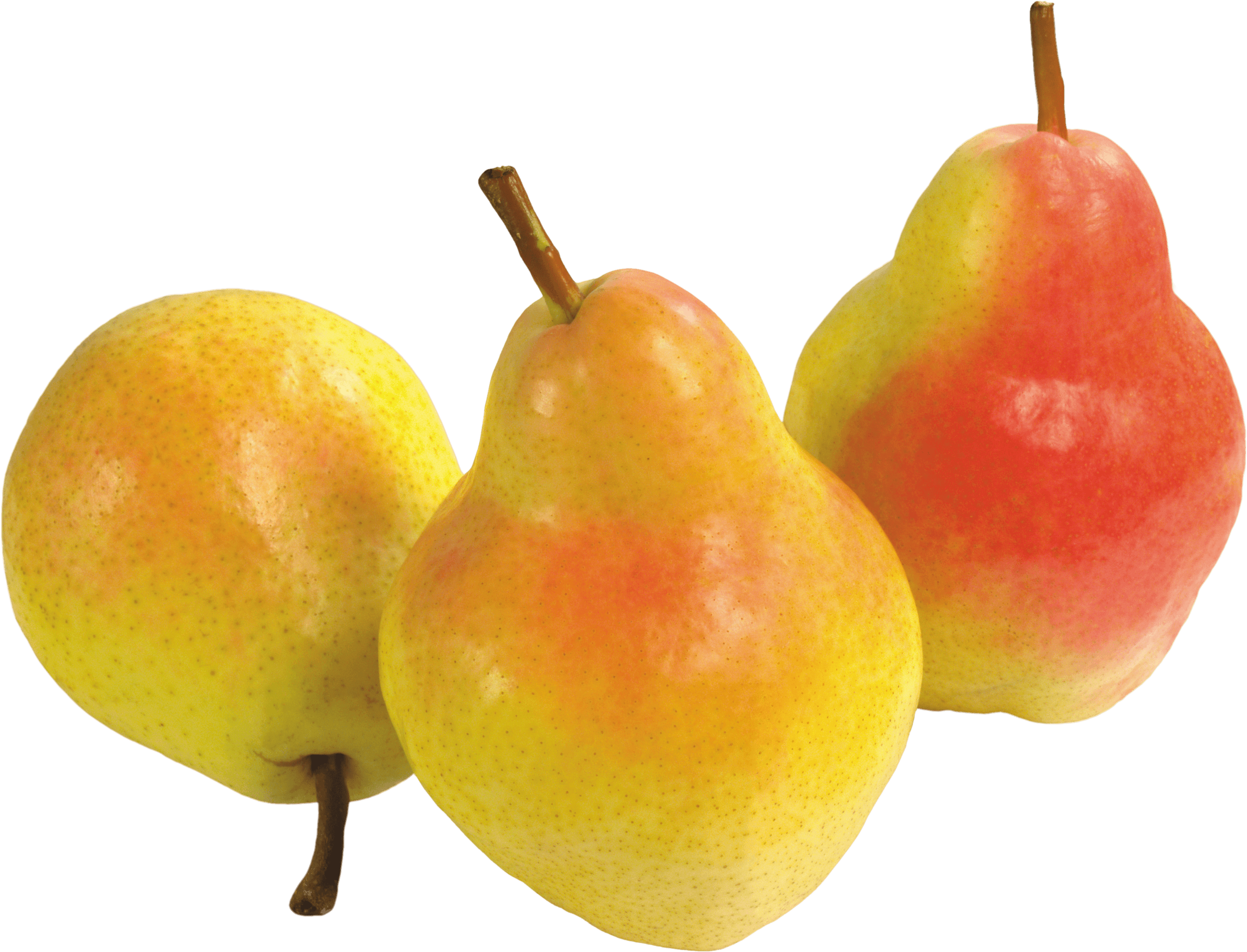 sgc pears Benefits